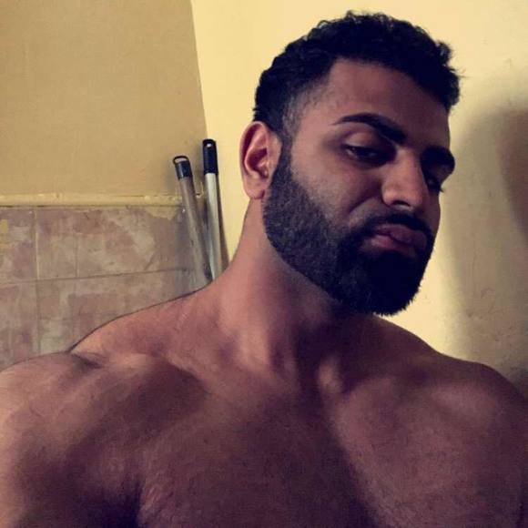 Meet your Posher, Pasha - Picture 1 of 1